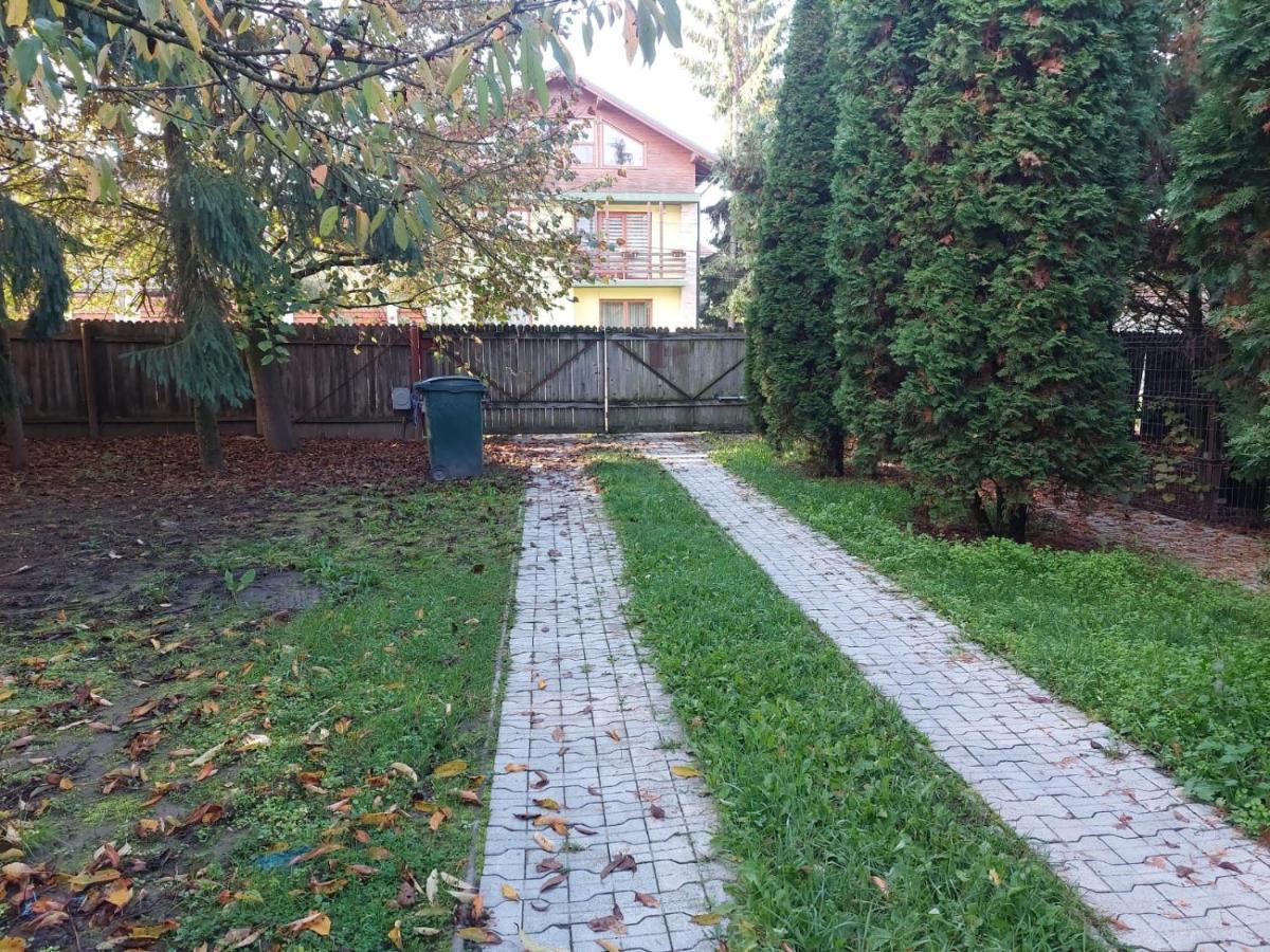 Apartamente Bobo Sîngeorgiu de Mureş 외부 사진